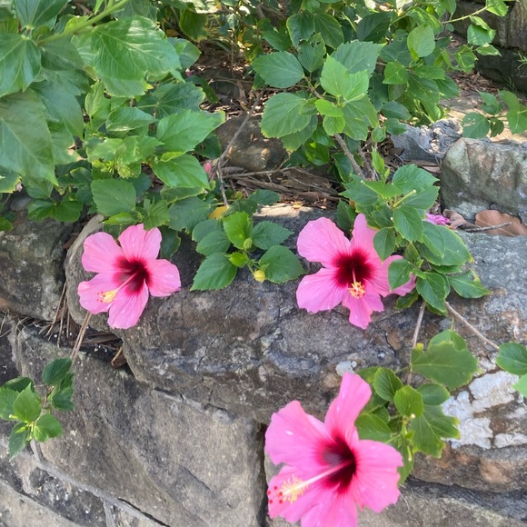 Meet your Posher, Paige - Picture 1 of 1